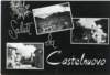 castelnuovo5_small.jpg