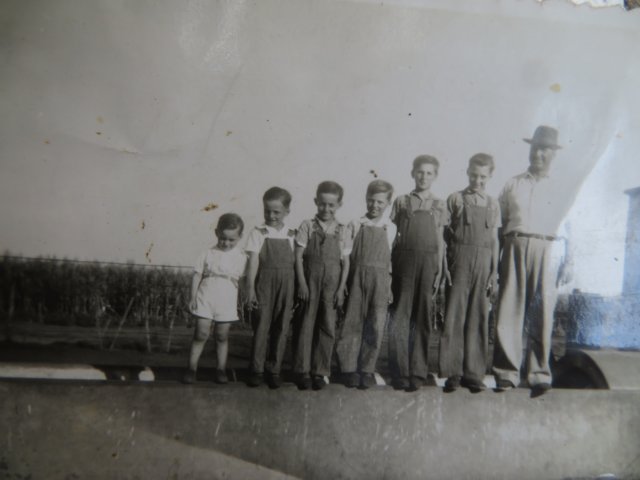 Photograph
