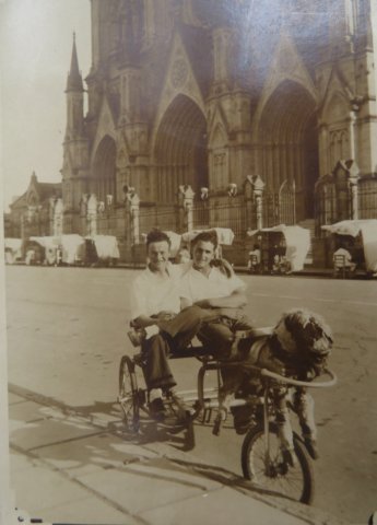 Photograph