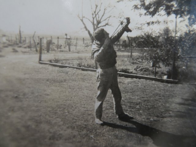 Photograph