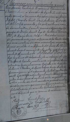 Photograph