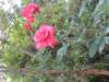 img_9124_small.jpg