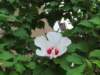 img_9600_small.jpg
