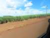 inviaggioversoilsitiodinilson3_small.jpg
