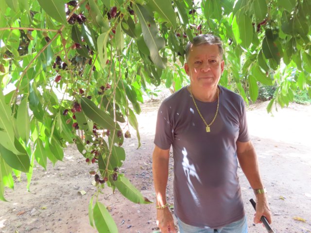 nilsoncoradello.jpg