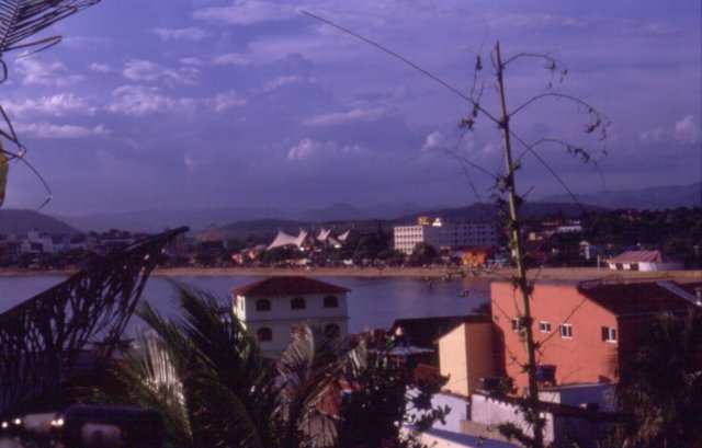 Photograph